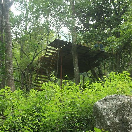 Secret Valley Jungle Resort Утакаманд Экстерьер фото
