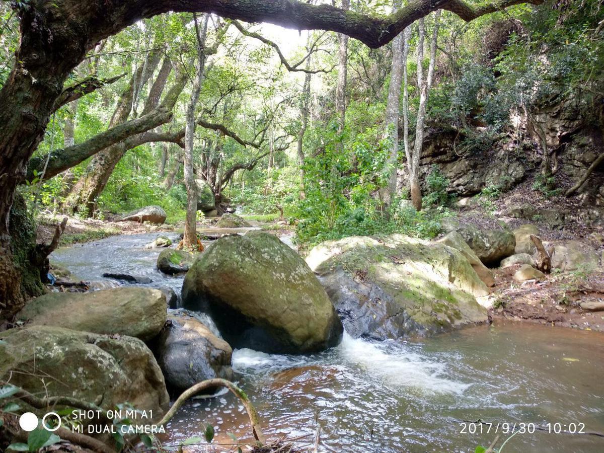 Secret Valley Jungle Resort Утакаманд Экстерьер фото