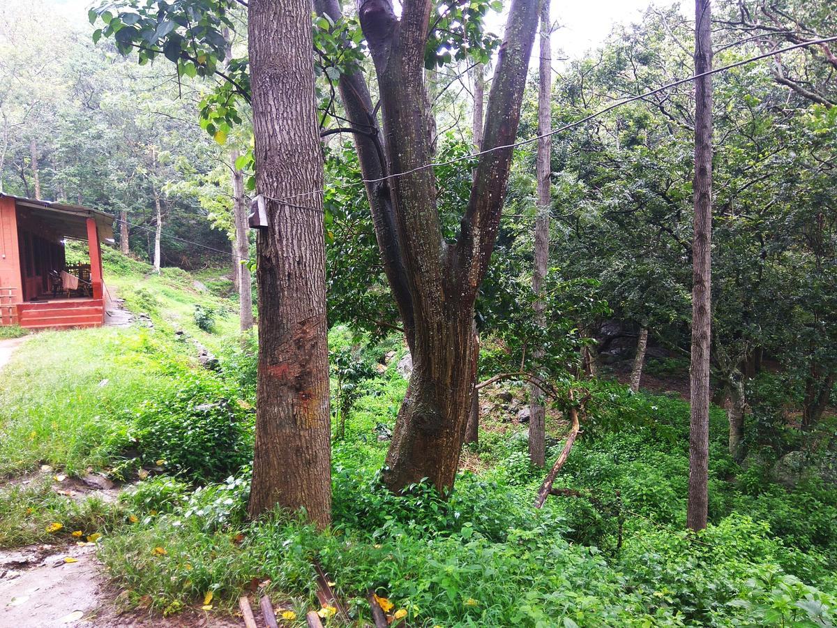 Secret Valley Jungle Resort Утакаманд Экстерьер фото