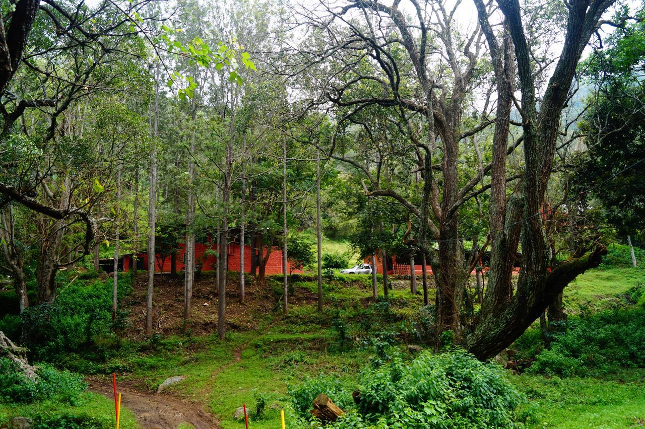 Secret Valley Jungle Resort Утакаманд Экстерьер фото