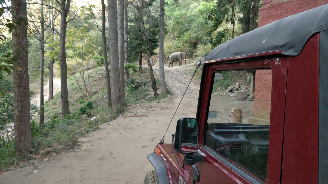 Secret Valley Jungle Resort Утакаманд Экстерьер фото